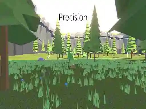 Precision Online